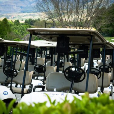 A line of parked golf carts on a lush golf course with mountains in the background.